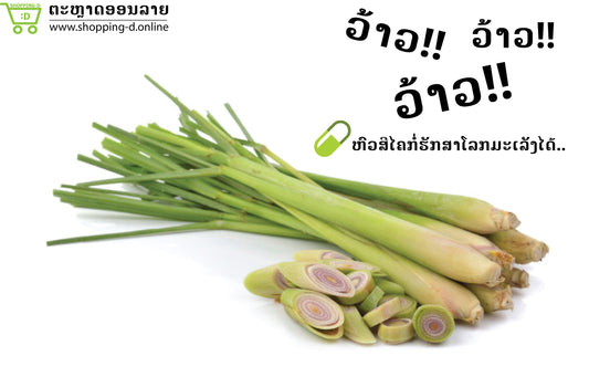 ກິນຫົວສີໄຄ ຊ່ວຍໃຫ້ຫ່າງໄກຈາກໂລກມະເລັງ