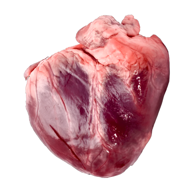 Beef Heart per piece ( 600g - 900g ) price per kg