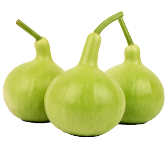 Bottle Gourd per 0.5kg