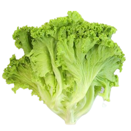 Lao Lettuce 0.5kg