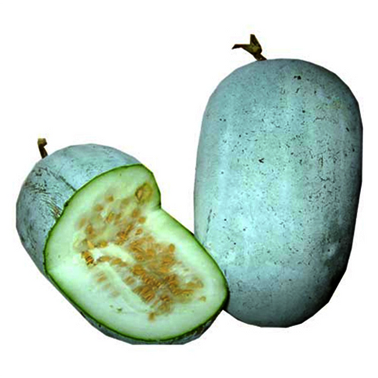 Ash gourd per 1kg