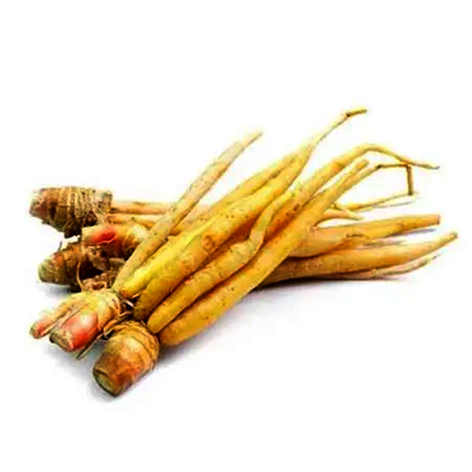 Burdock per bundle