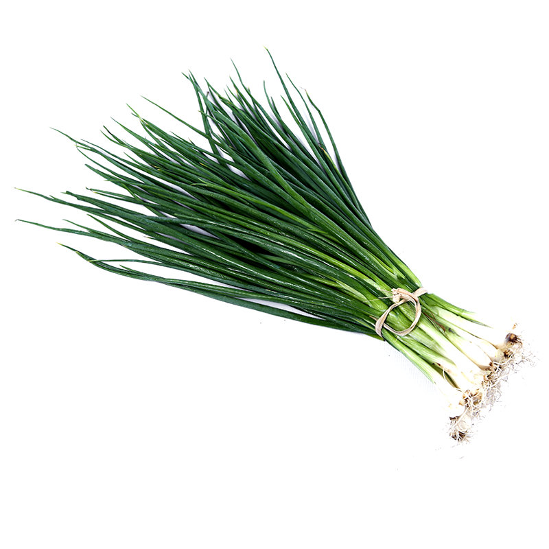 Spring Onion by bundle 50g-100g