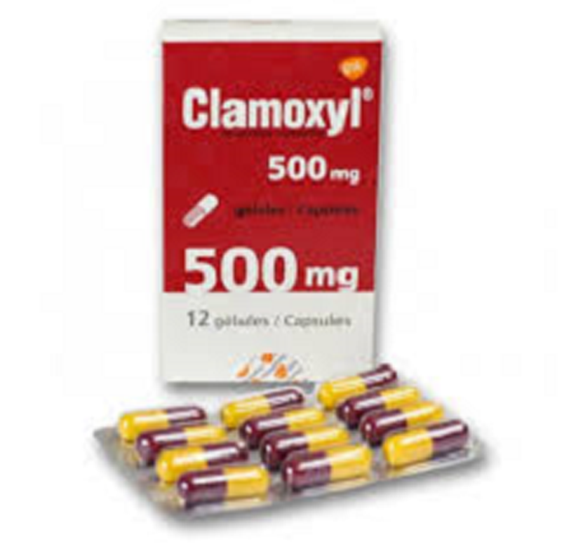 Clamoxyl Amoxicillin 500mg Powder for oral suspension In Sachet-dose boxes of 12 Sachet-dose