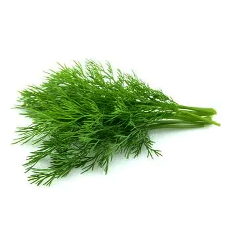 Dill per bundle 50g-100g