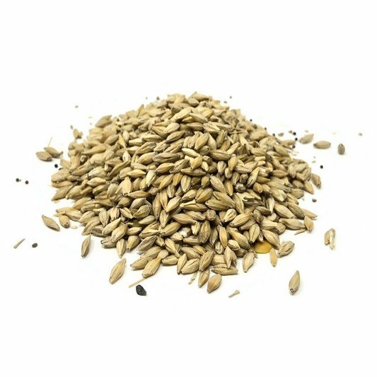 FARM VALLEY	BARLEY SEED 500G