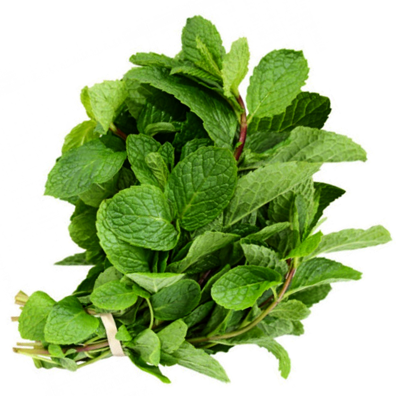 Mint per 100g