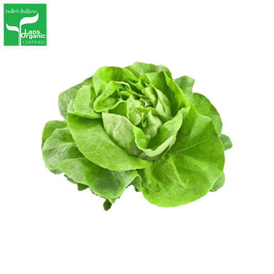 Organic Butterhead Salad 500g