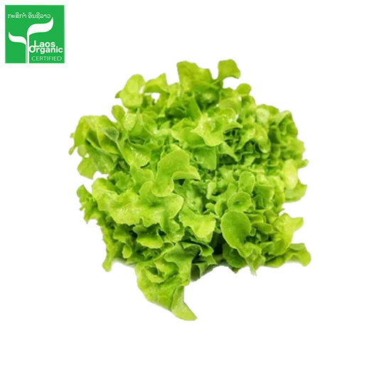 Organic Green Oak Salad per 0.5kg