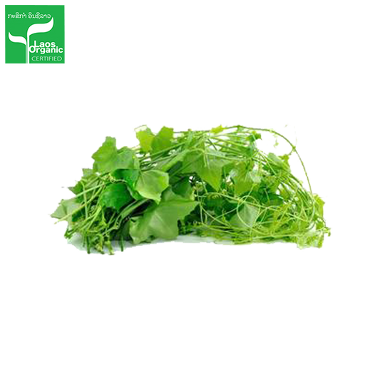 Organic Ivy Gourd 0.5kg