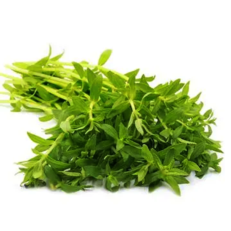 Rice Paddy Herb per bundle