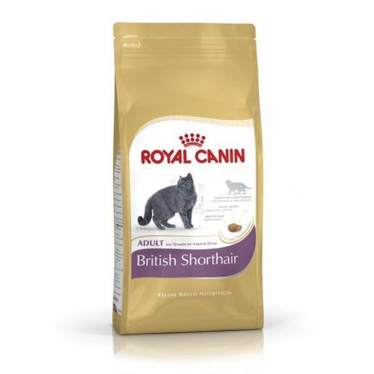 Royal Canin Kitten British Shorthair 400 g ADULT