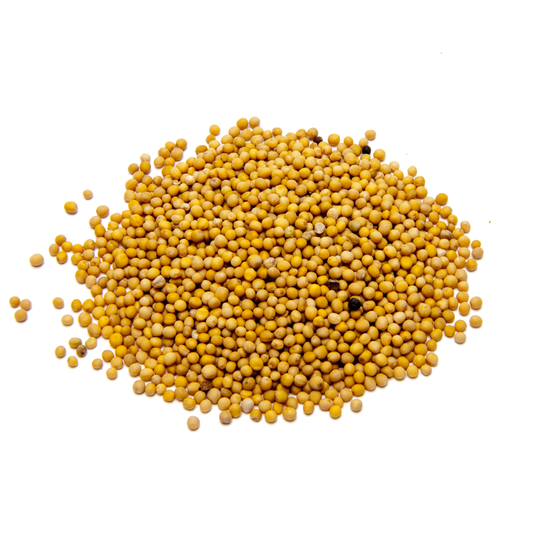 SWISS VALLEY MUSTARD SEED YELLOW 20GM