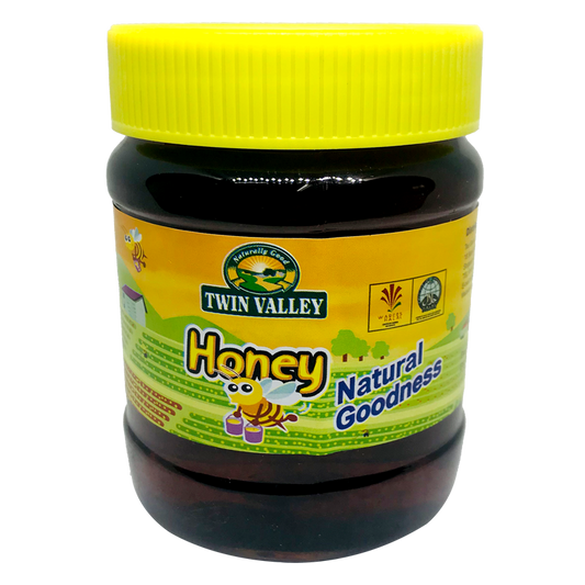 TWIN VALLEY HONEY 450G